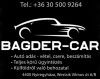 Bagder-Car logo