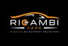 Ricambi Autó Kft logo