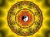 OM Auto logo