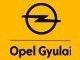 Opel Gyulai logo