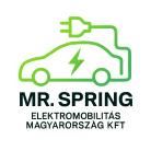 Pilcsik Tamás - Mr. Spring