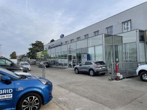 CarNet For-Top - Ford, Chery; Sopron photo 2