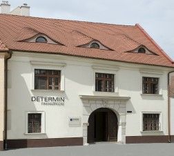 Determin Flottakezelő Kft. photo 1