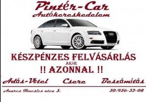 Pintér-Car photo 1