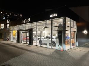 Kia Wallis photo 1