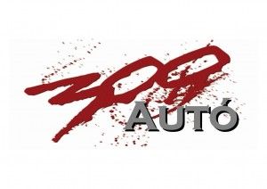 300autó photo 1