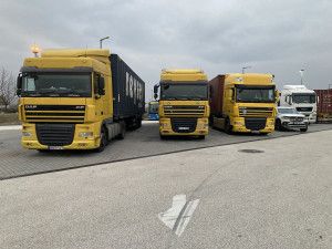 Maex Trans photo 1