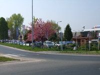 Egzóta Autó Ügynökség photo 1