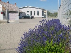 Lánczos Szerviz Kft. photo 1