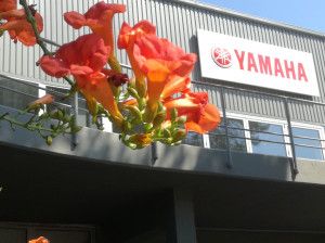 Yamaha Harmati photo 1