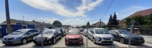 Globe Auto photo 1